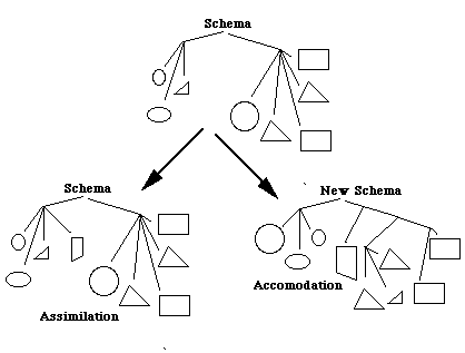 Accommodation in cognitive discount development